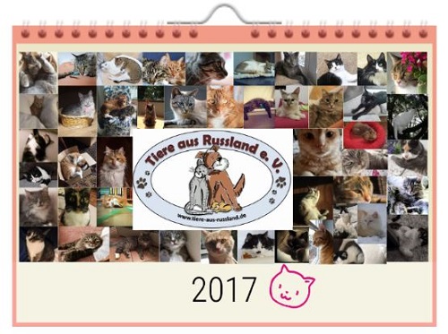 titelbild_kalender2017